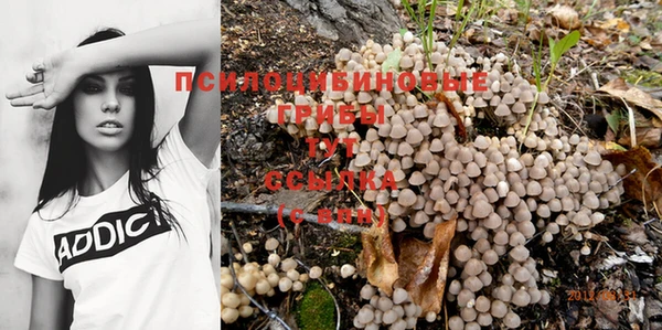 mdpv Алзамай