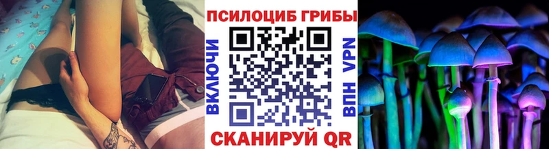 нарко площадка Telegram  Лихославль  Псилоцибиновые грибы Magic Shrooms 